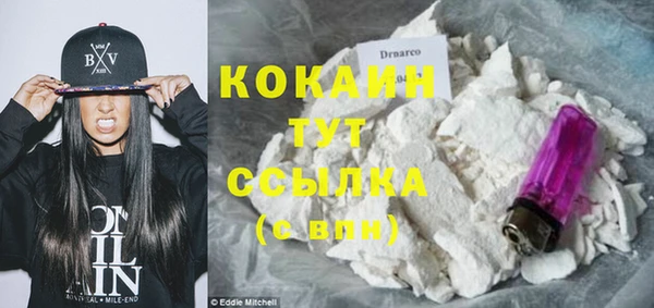 эйфоретик Бородино
