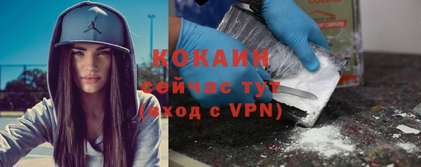 эйфоретик Бородино