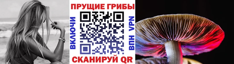 Псилоцибиновые грибы Psilocybine cubensis  Топки 